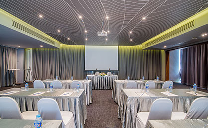 MEETINGS & CORPORATE EVENTS​